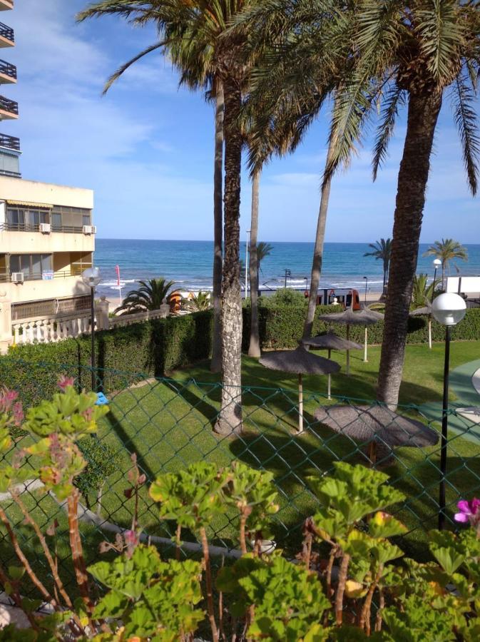 Las lanzas playa muchavista san juan El Campello Exterior foto
